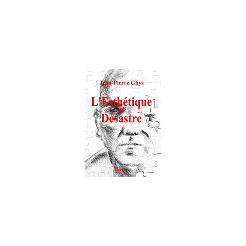 L'esthétique du désastre