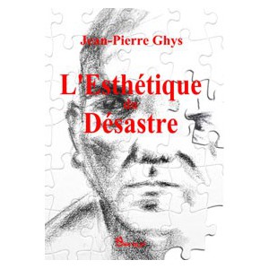 L'esthétique du désastre