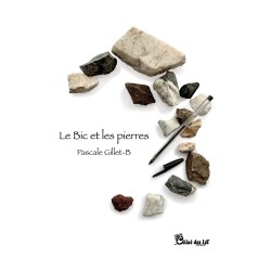 Le bic et les pierres