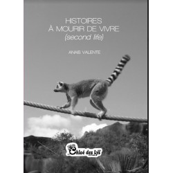 histoires à mourir de vivre (second life)