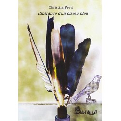 Itinérance d'un oiseau bleu