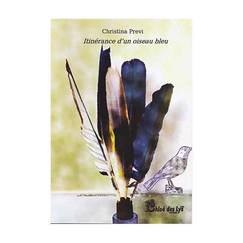 Itinérance d'un oiseau bleu