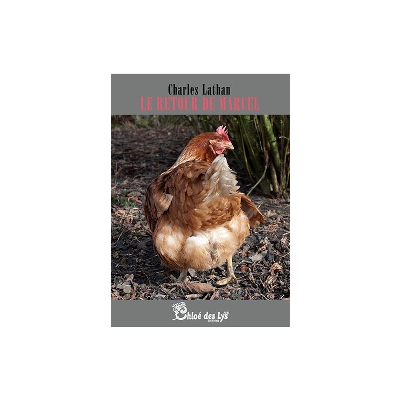 Le retour de Marcel