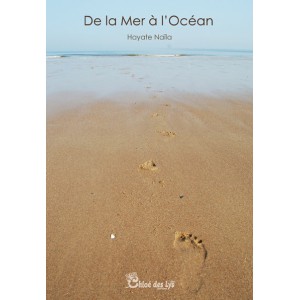 De la mer à l'océan
