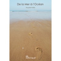 De la mer à l'océan