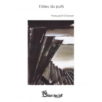 Il bleu du puits