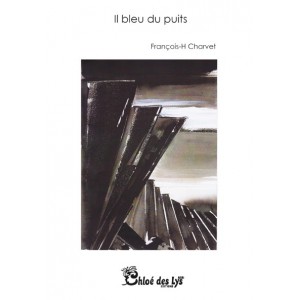 Il bleu du puits