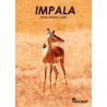 Impala