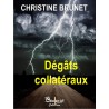 Dégâts collatéraux