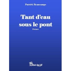 Tant d'eau sous le pont