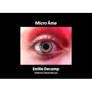 Micro-âme