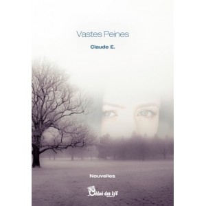 Vastes Peines