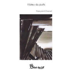 Il bleu du puits