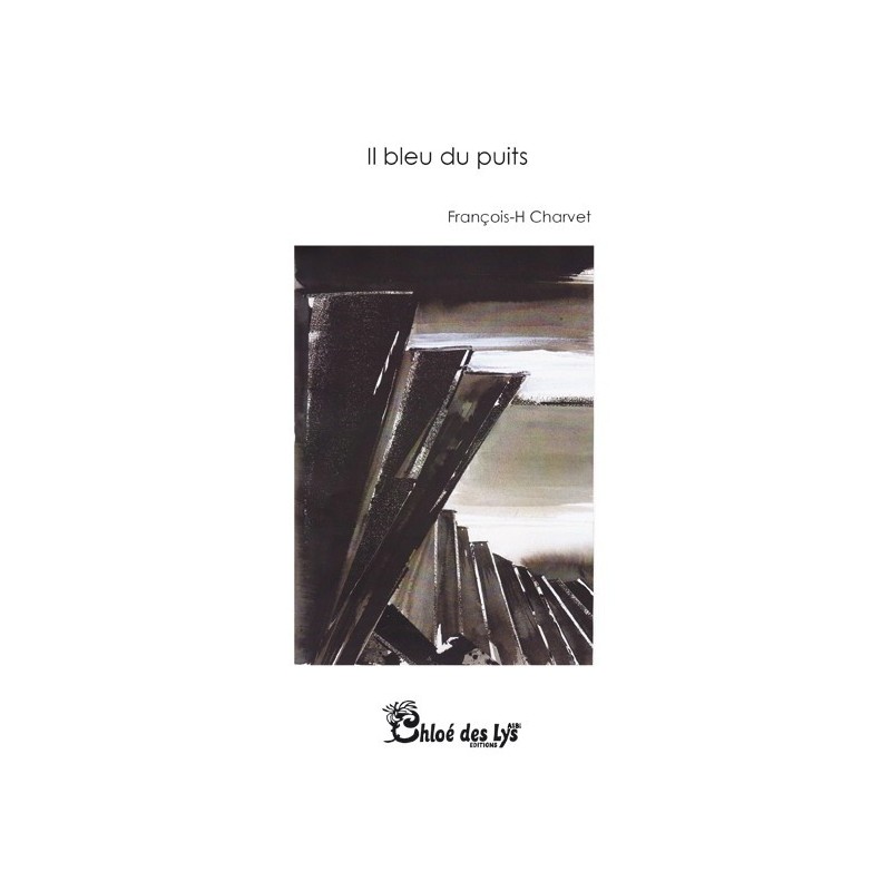 Il bleu du puits