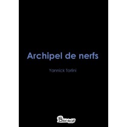 Archipel de nerfs