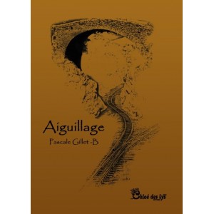 Aiguillage