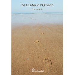 De la mer à l'océan