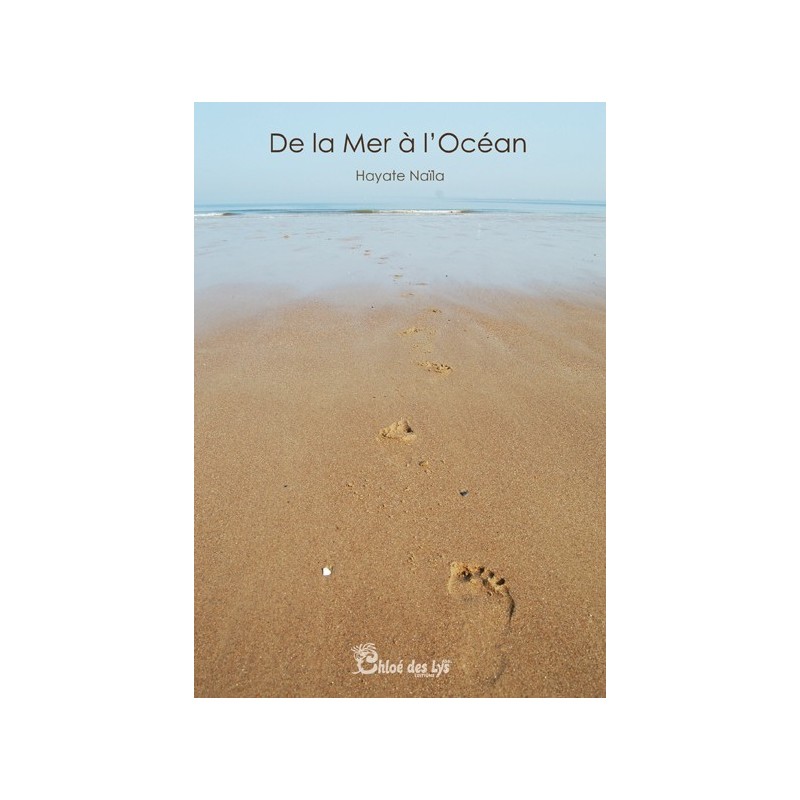 De la mer à l'océan