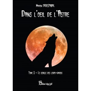 Dans l'œil de l'astre - T1